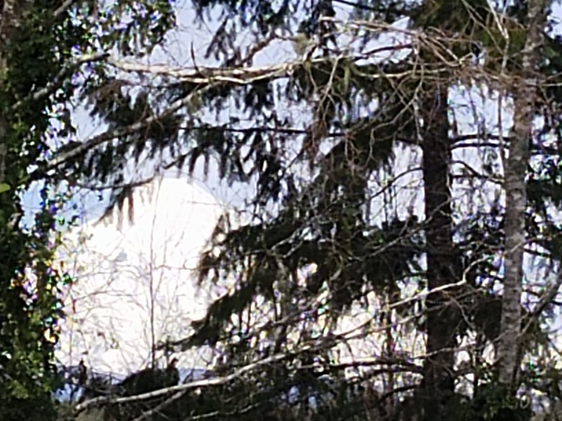 Parcelas en Condominio A 18 Minutos de Villarrica