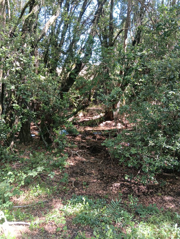 Casa en Construcción, Sector Polul