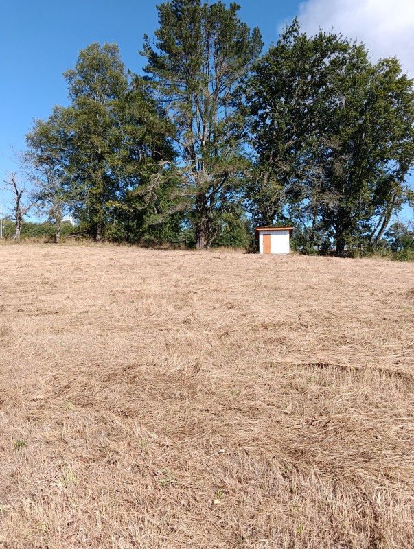 Parcela Sector 6Ta Faja