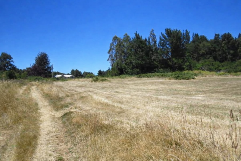 Parcela 5.000Mts2, Sector Coipue