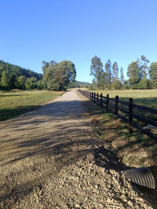 Parcelas Con Borde Río en Loncoche