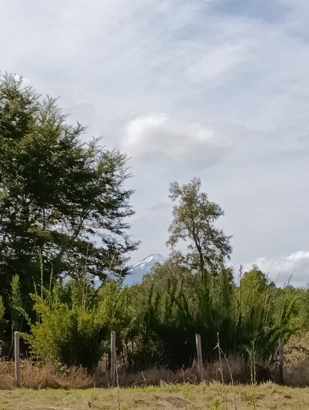 Parcela , A 15 Minutos de Villarrica Sector el Sauce