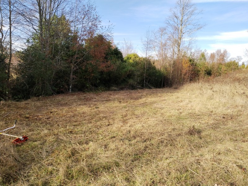 Parcelas en Condominio A 18 Minutos de Villarrica