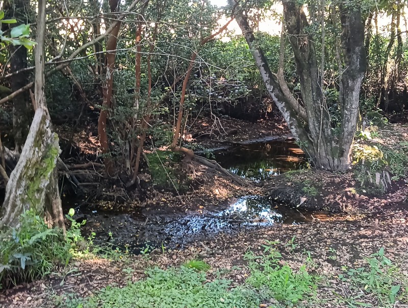 Casa en Construcción, Sector Polul