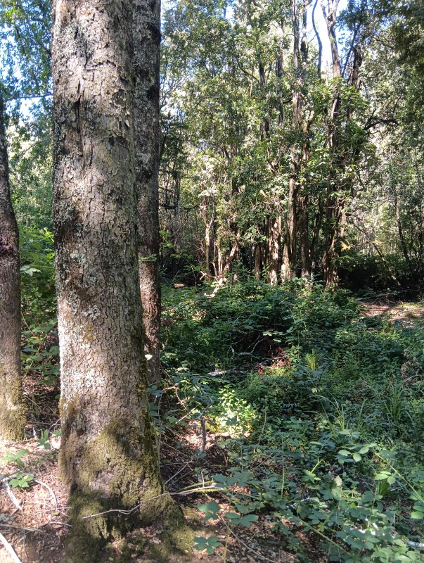 Casa en Construcción, Sector Polul