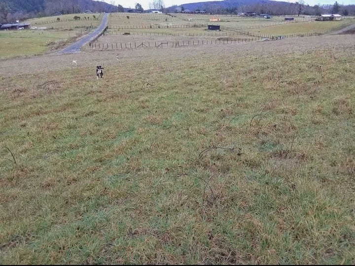 Parcela Condominio los Nogales 2