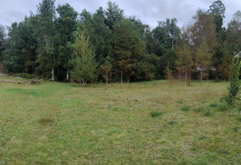Casa en Parcela A 27Km de Villarrica Sector Pulingue