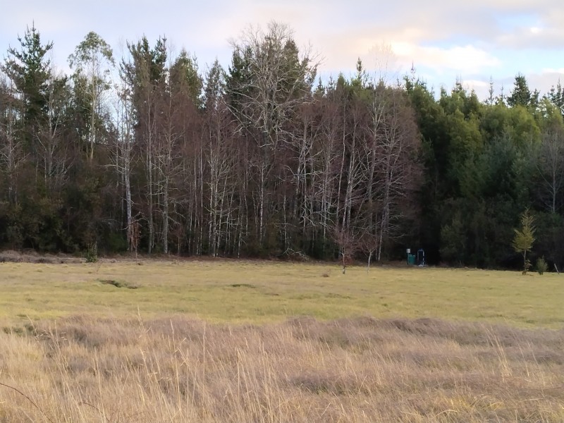 Parcelas en Condominio A 18 Minutos de Villarrica