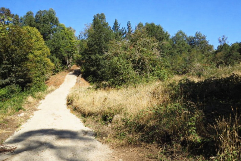Parcela A 11 Km de Villarrica, Por Ruta Villarrica-Licanray