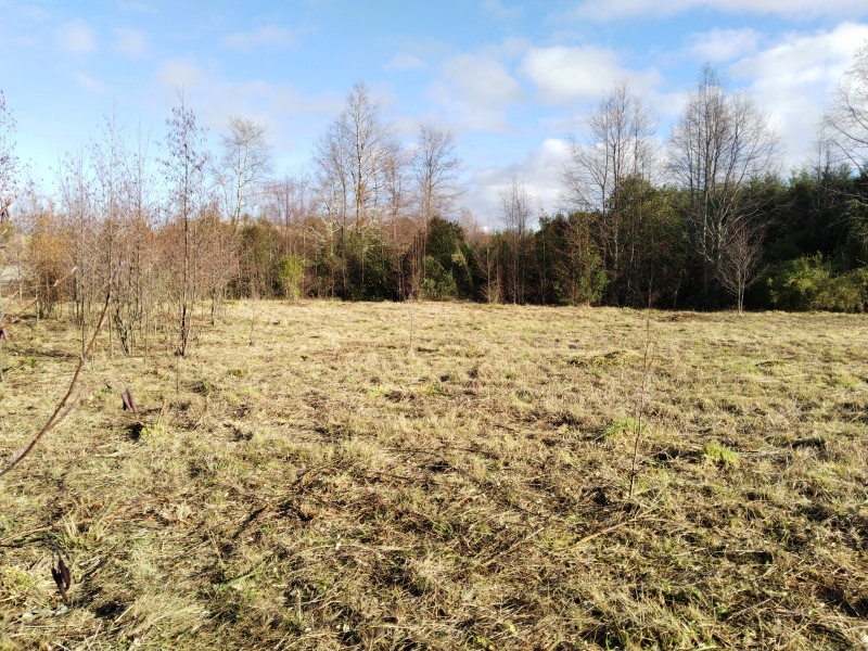 Parcelas en Condominio A 18 Minutos de Villarrica