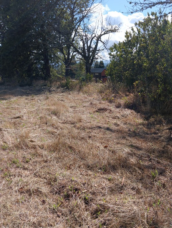 Parcela Sector 6Ta Faja