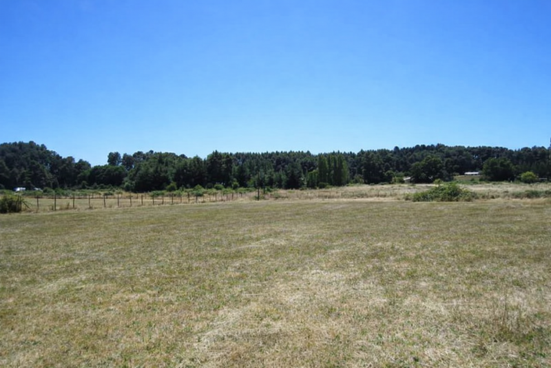 Parcela 5.000Mts2, Sector Coipue