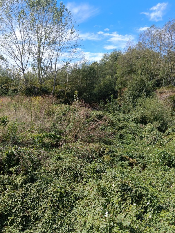 Casa en Parcela de Hectáreas A 7Km del Lago Collico