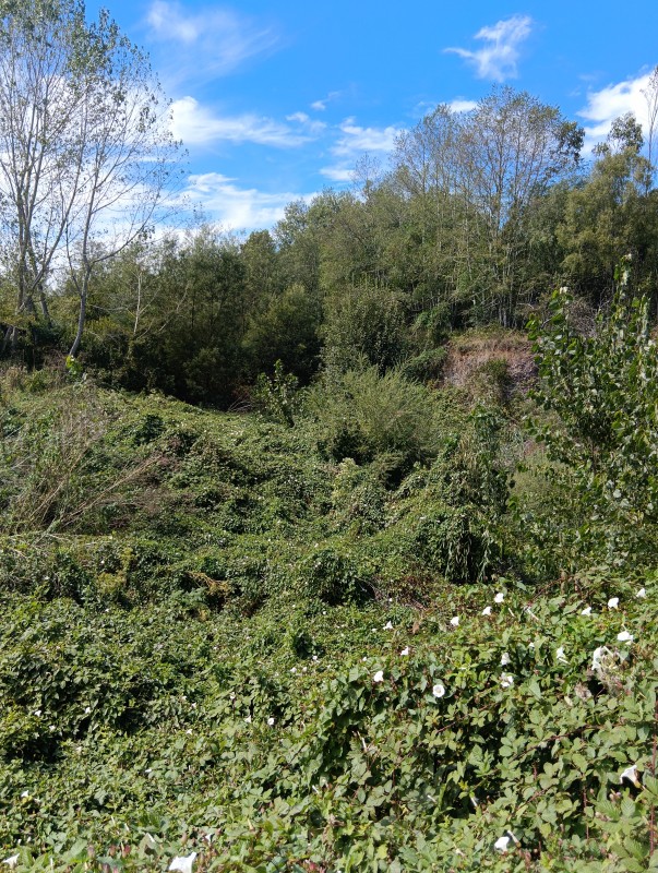 Casa en Parcela de Hectáreas A 7Km del Lago Collico