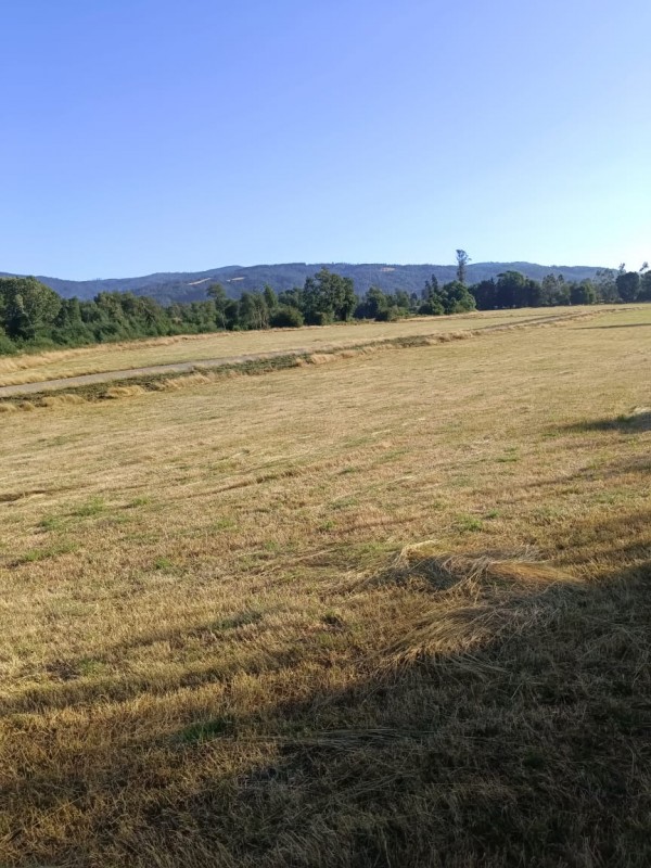 Parcelas Con Borde Río en Loncoche
