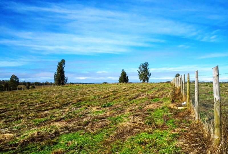 Parcela , Sector Coipue Long Long