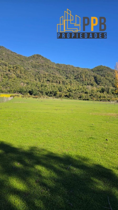 Fotografía de Se Vende Parcela de 3 Ha en la Pre Cordillera de Linares❤️🏞