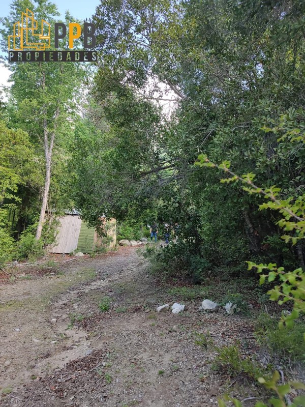 Parcela en Venta en Sector Chupallar, Linares