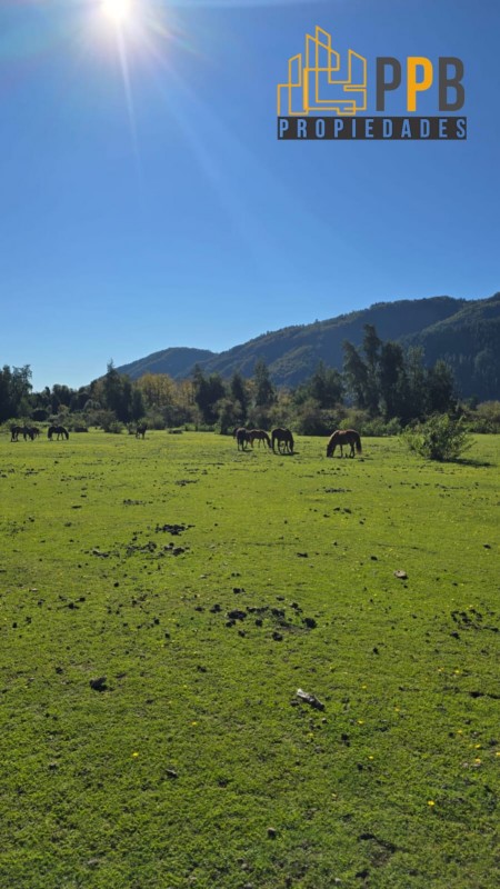 Se Vende Parcela de 3 Ha en la Pre Cordillera de Linares❤️🏞