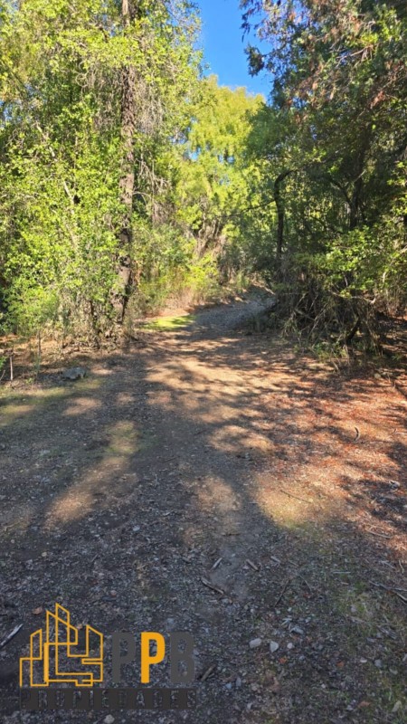 Se Vende Parcela de 3 Ha en la Pre Cordillera de Linares❤️🏞