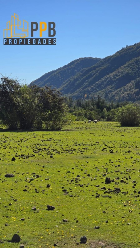 Se Vende Parcela de 3 Ha en la Pre Cordillera de Linares❤️🏞