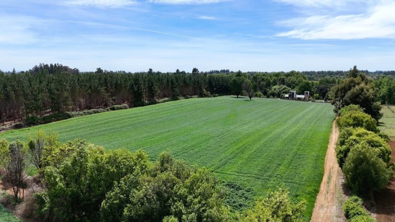 Se Vende Hermosa Propiedad Ubicada en San Ignacio,ñuble