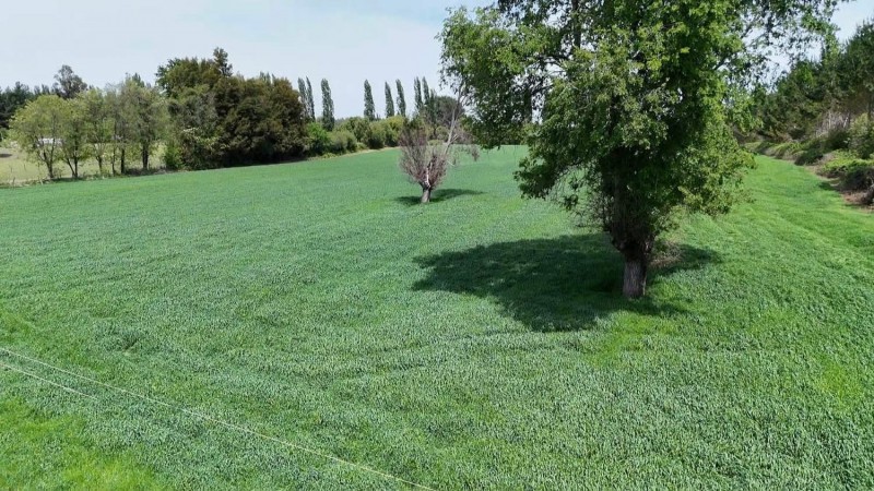 Se Vende Hermosa Propiedad Ubicada en San Ignacio,ñuble