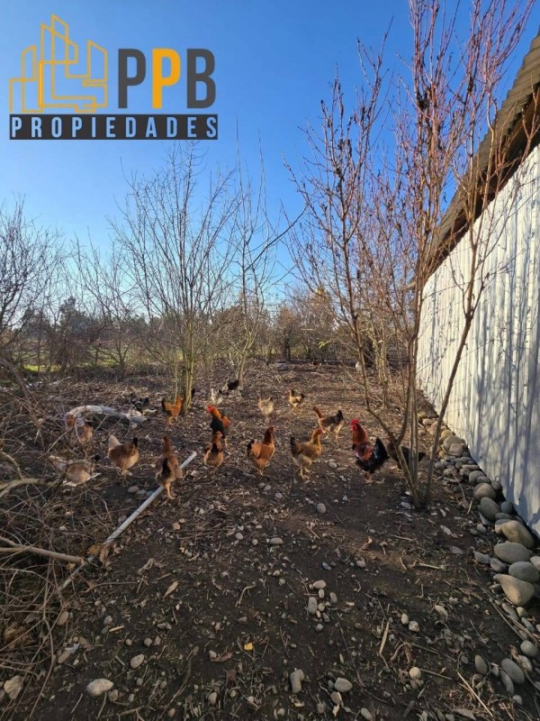 Se Vende Propiedad Ubicada en Maitencillo Yerbas Buenas