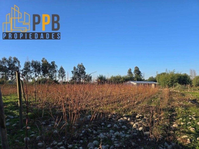 Se Vende Propiedad Ubicada en Maitencillo Yerbas Buenas