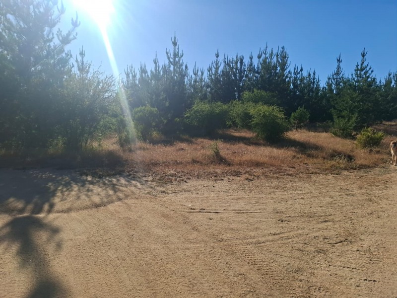 ¡gran Oportunidad! Se Vende Parcela en el Corazón del Maule