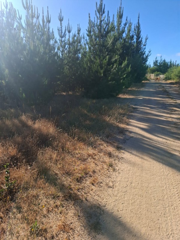 ¡gran Oportunidad! Se Vende Parcela en el Corazón del Maule
