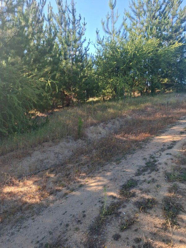¡gran Oportunidad! Se Vende Parcela en el Corazón del Maule