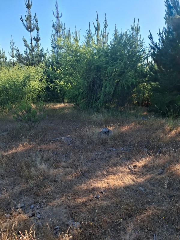 ¡gran Oportunidad! Se Vende Parcela en el Corazón del Maule