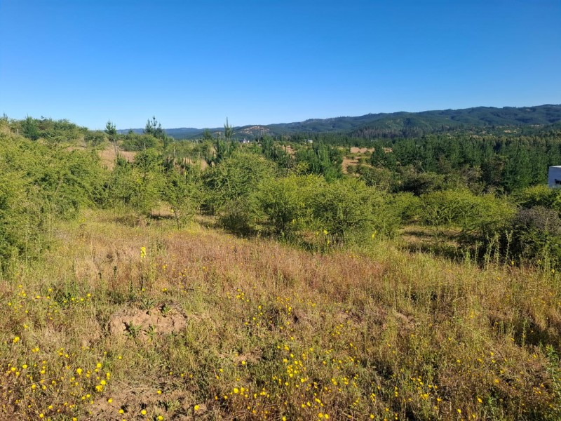 ¡gran Oportunidad! Se Vende Parcela en el Corazón del Maule