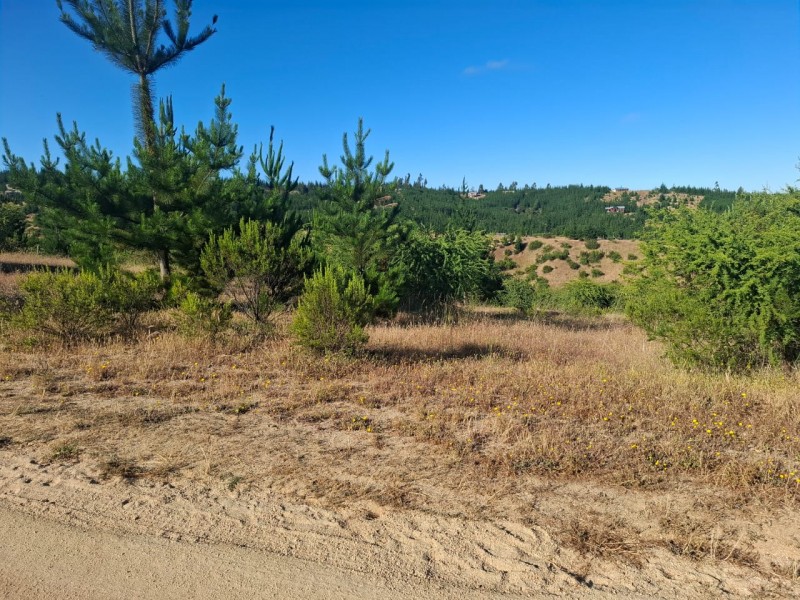 ¡gran Oportunidad! Se Vende Parcela en el Corazón del Maule