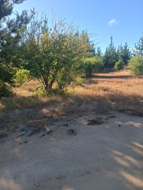 ¡gran Oportunidad! Se Vende Parcela en el Corazón del Maule