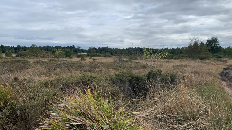 ¡oportunidad Única en Puerto Varas!