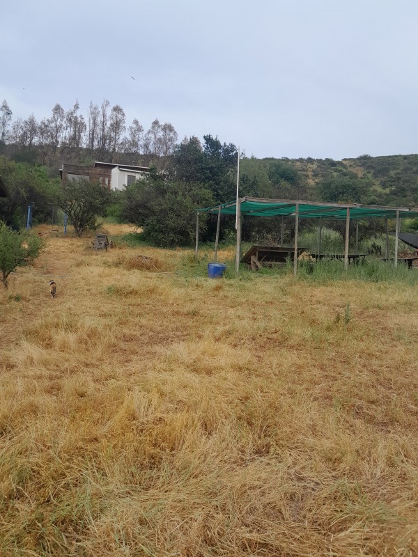 Se Vende Parcela Con Casa Rauten Quillota