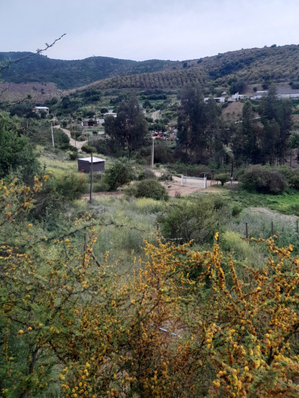 Se Vende Parcela Con Casa Rauten Quillota