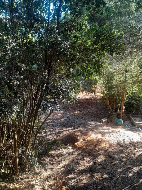 Arriendo Hermosa y Amplia Casa en Olmue