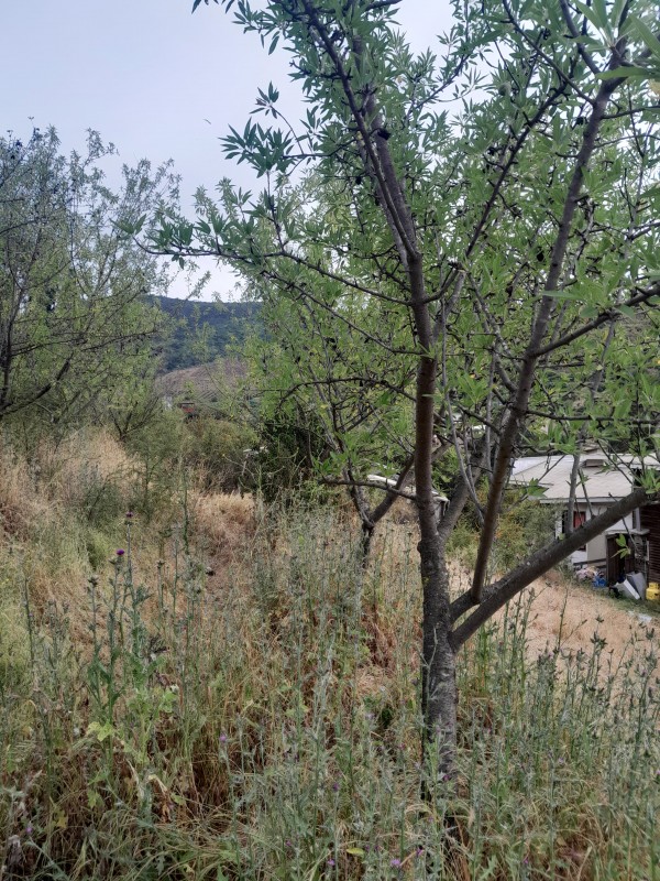 Se Vende Parcela Con Casa Rauten Quillota