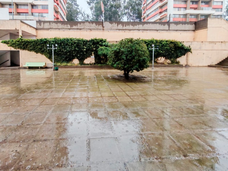 Se Vende Departamento en Viña del Mar. Sector Quinta Claude.