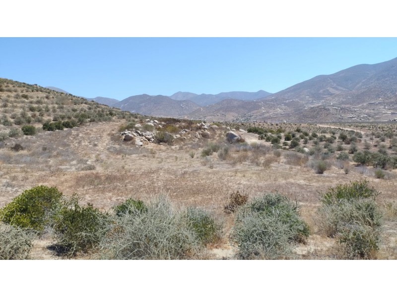 Hermosa Parcela en Valle del Elqui