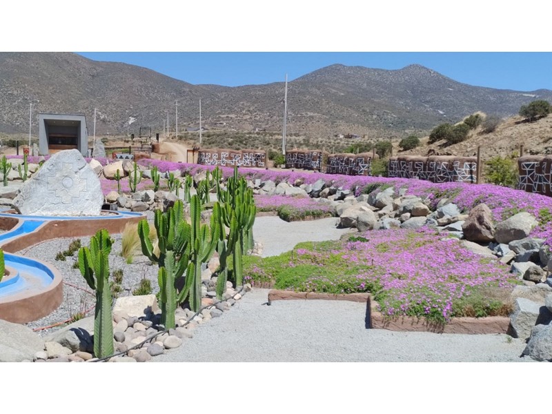 Hermosa Parcela en Valle del Elqui