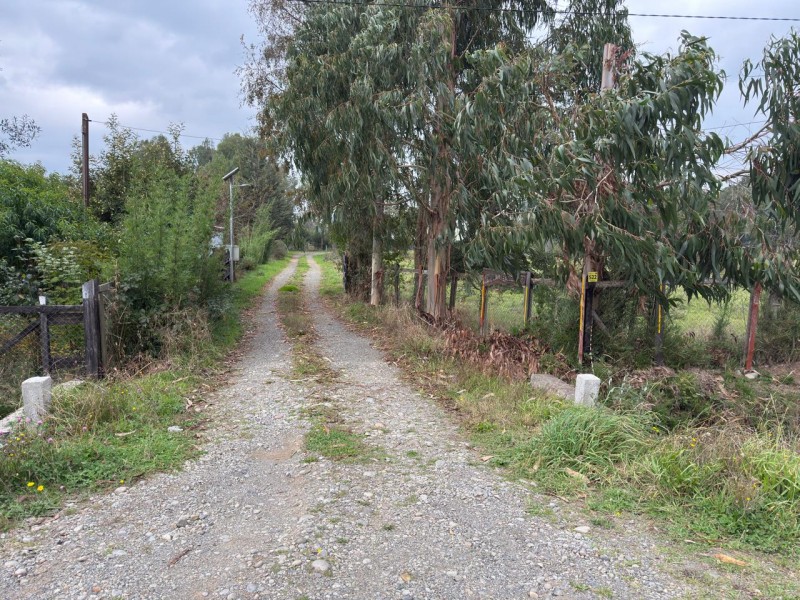 Se Venden Parcelas en Puyehue