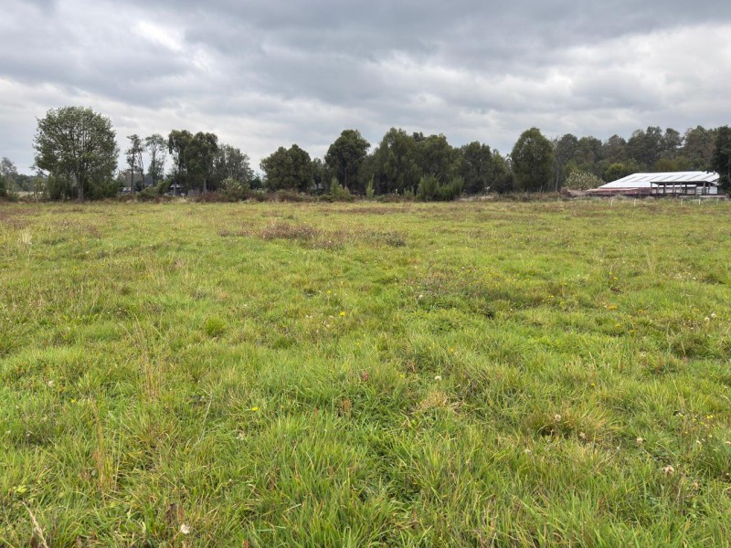 Se Venden Parcelas en Puyehue