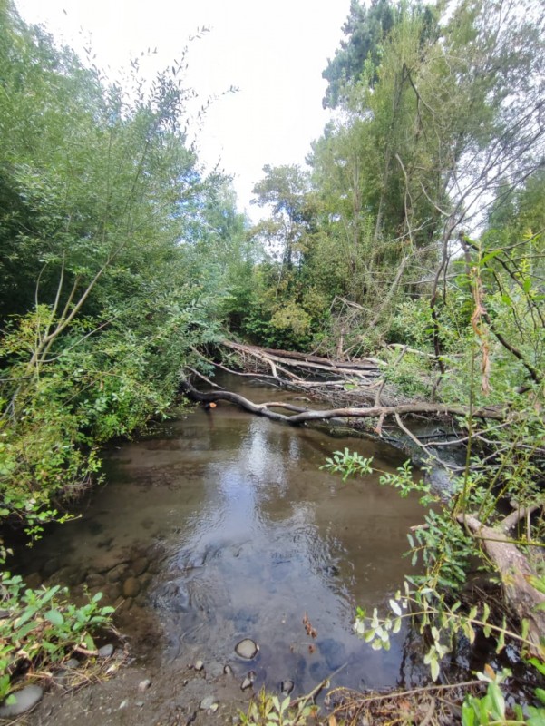 Vendo Parcela de 5.000M2, Con un Estero en la Entrada y Rio
