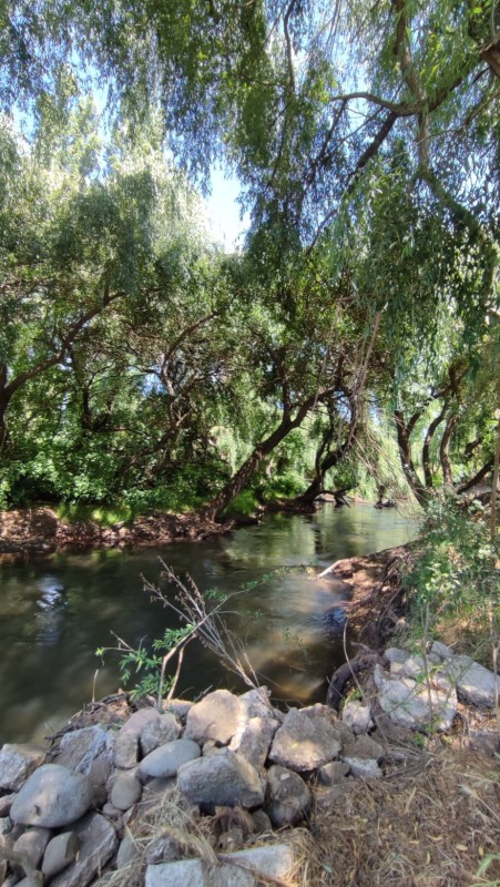 Vende Parcela A 10Km de los Ángeles Con Orilla de Rio