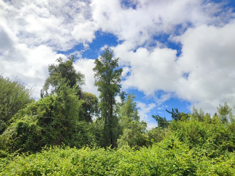 Vendo Parcela de 5.000M2, Con un Estero en la Entrada y Rio