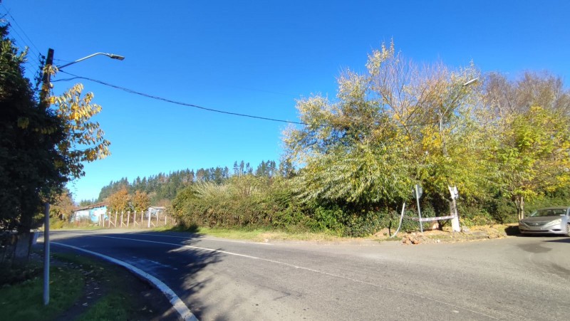 Terreno Urbano 1.300M² en Rucalhue $49 Millones